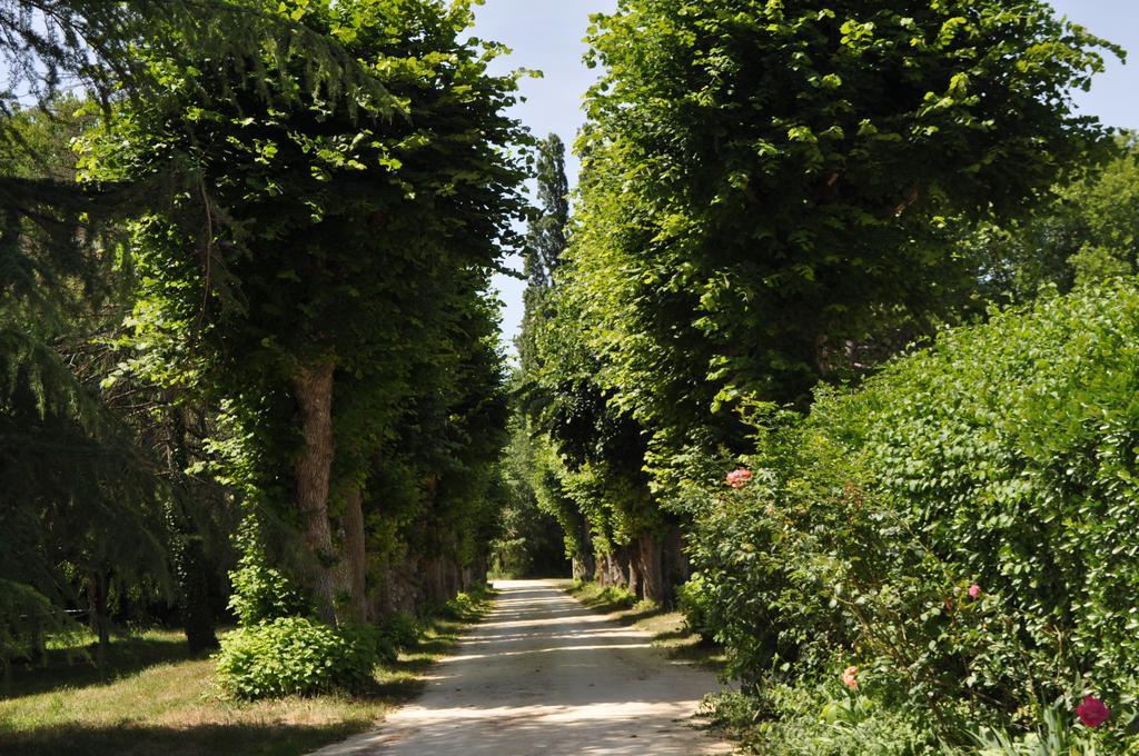 Neuillé Les Longchamps B&B 외부 사진